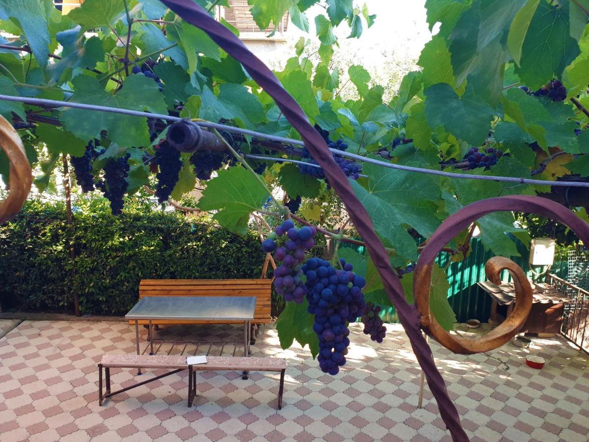 Guest House Lykhny Гагра Екстер'єр фото