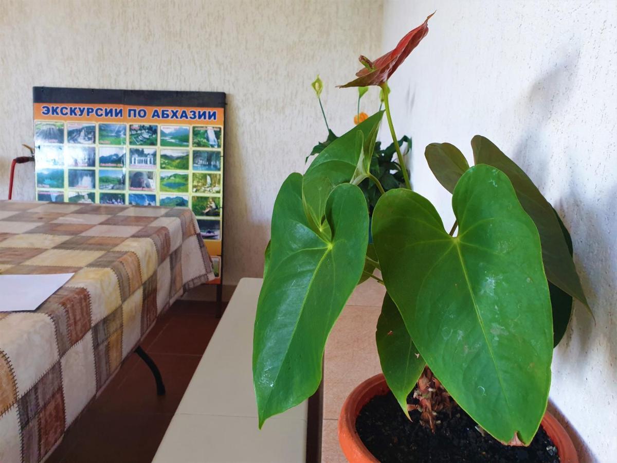 Guest House Lykhny Гагра Екстер'єр фото