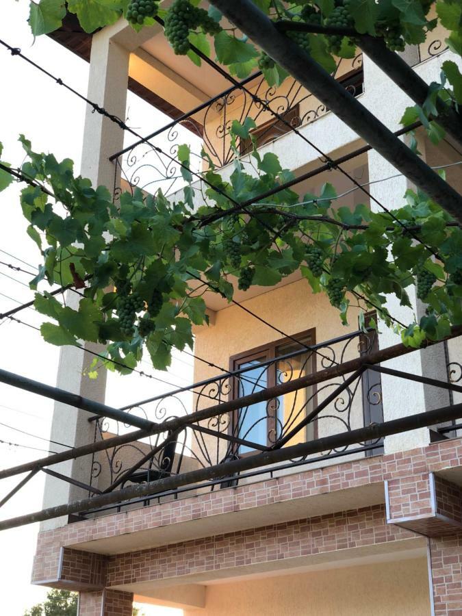 Guest House Lykhny Гагра Екстер'єр фото